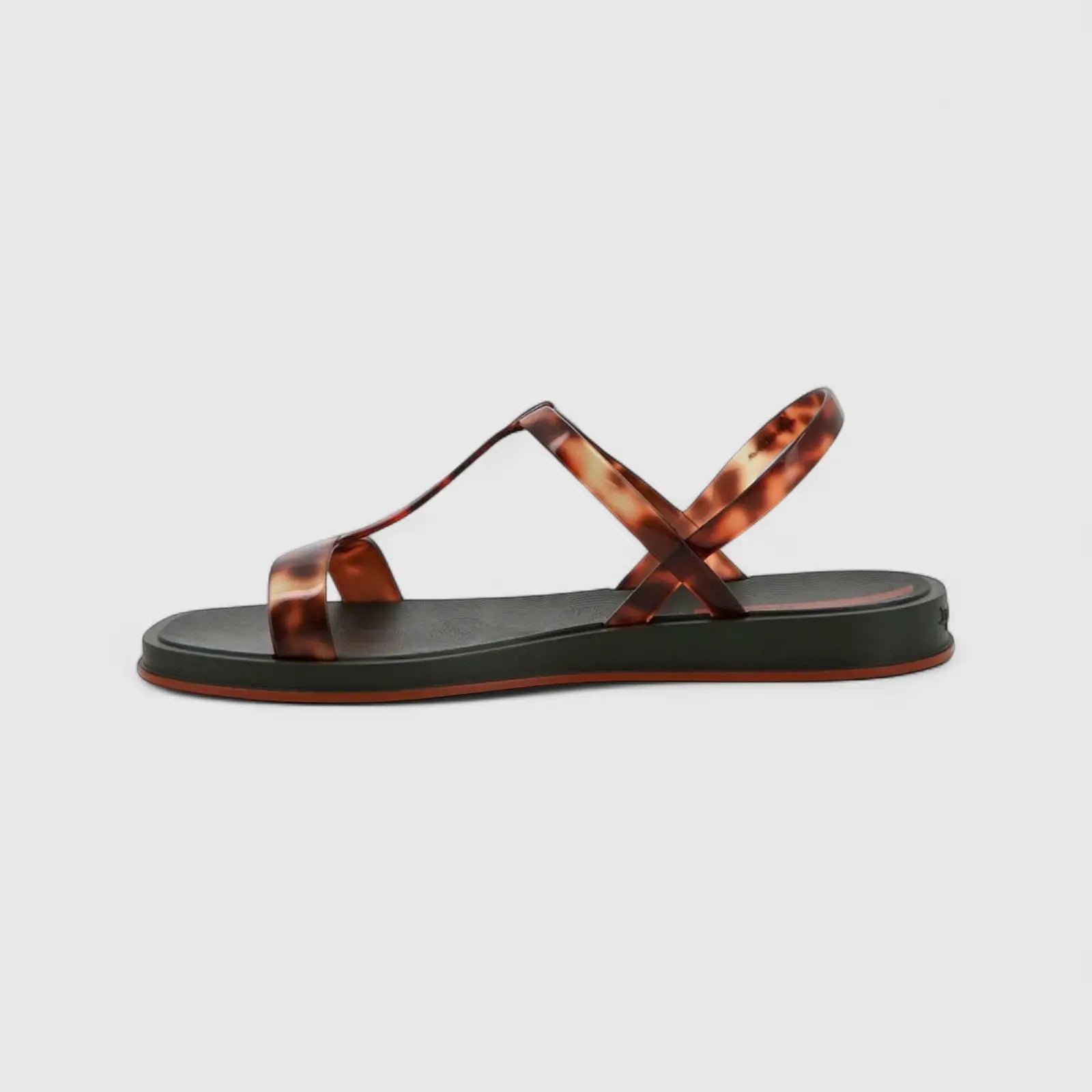 Ipanema Glow Trendy Black Tortoise GIL27423 IL157