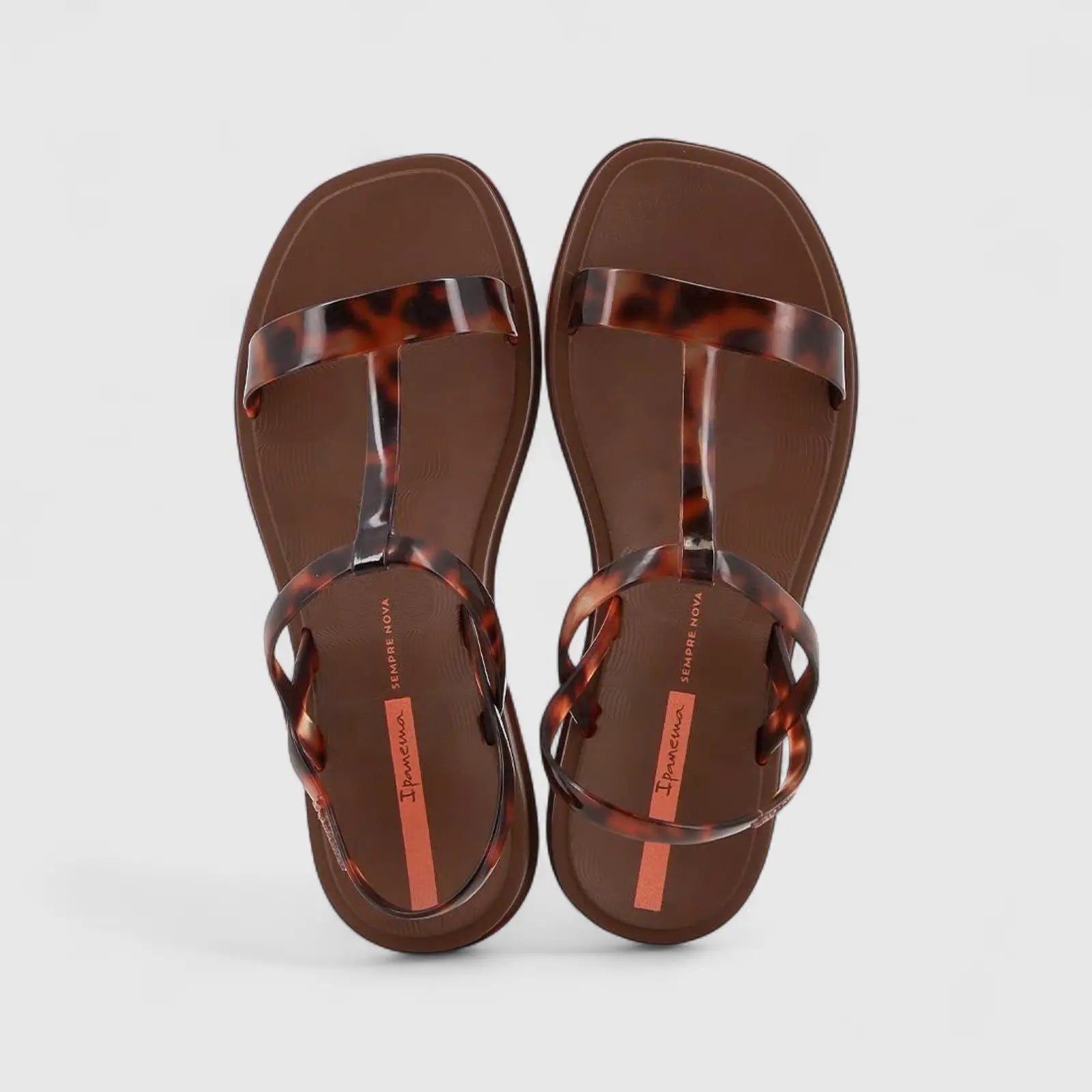 Ipanema Glow Trendy Brown Tortoise GIL27423 IL158