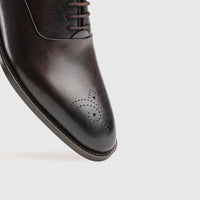 Florsheim Ortaca Dress Oxfords Brown 639/216 Oxfords | familyshoecentre