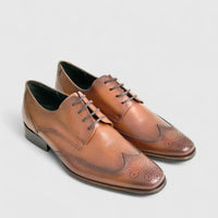 Anatomic Prime Leather Dress Lace Up Brown 1818 AN114 Oxfords | familyshoecentre