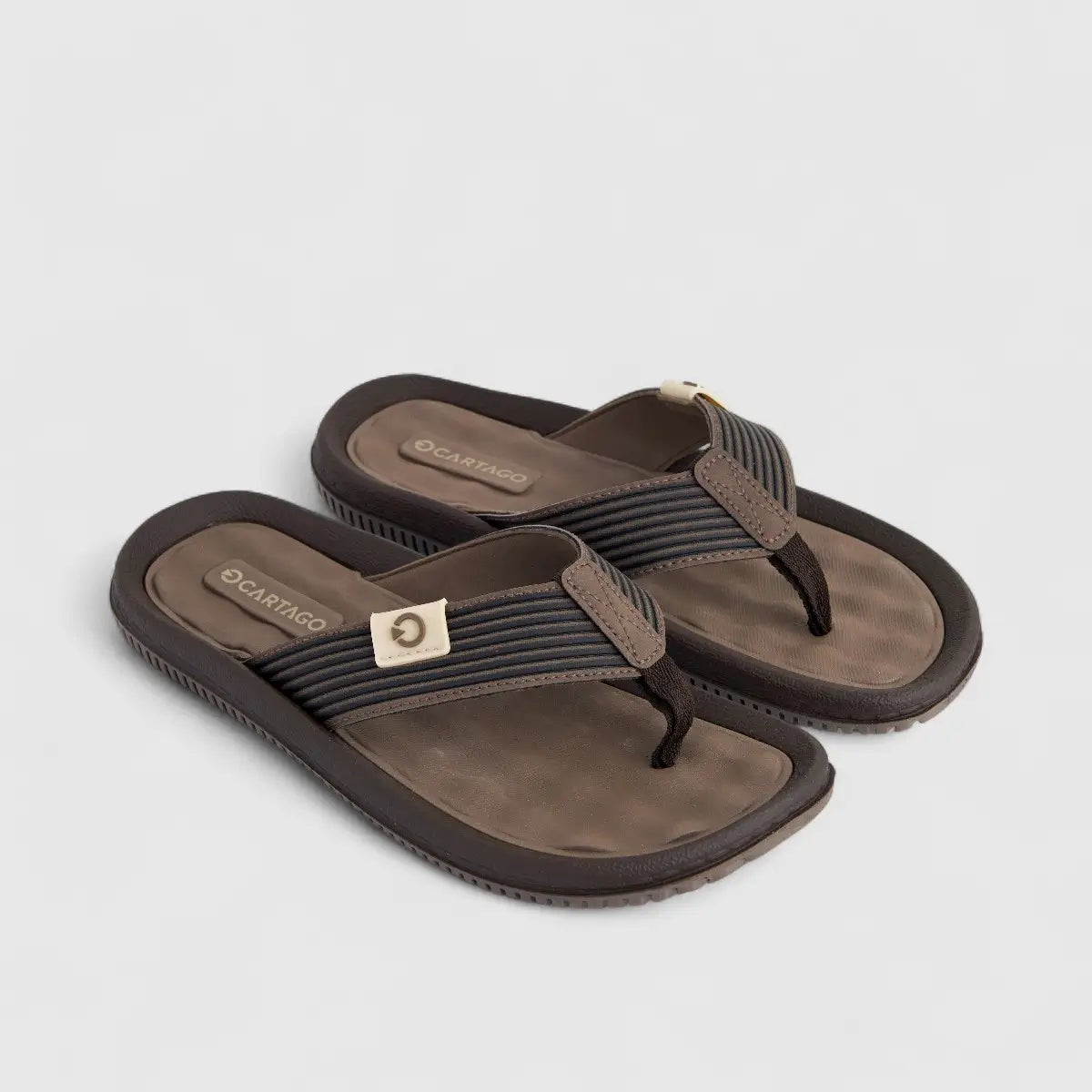 Cartago Dunas VI Brown GCM82614 IL144