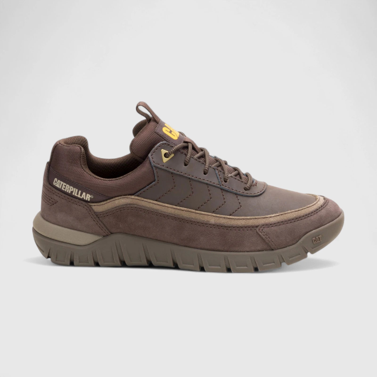Cat Men's Versace Lo P726428 Coffee Bean CT341