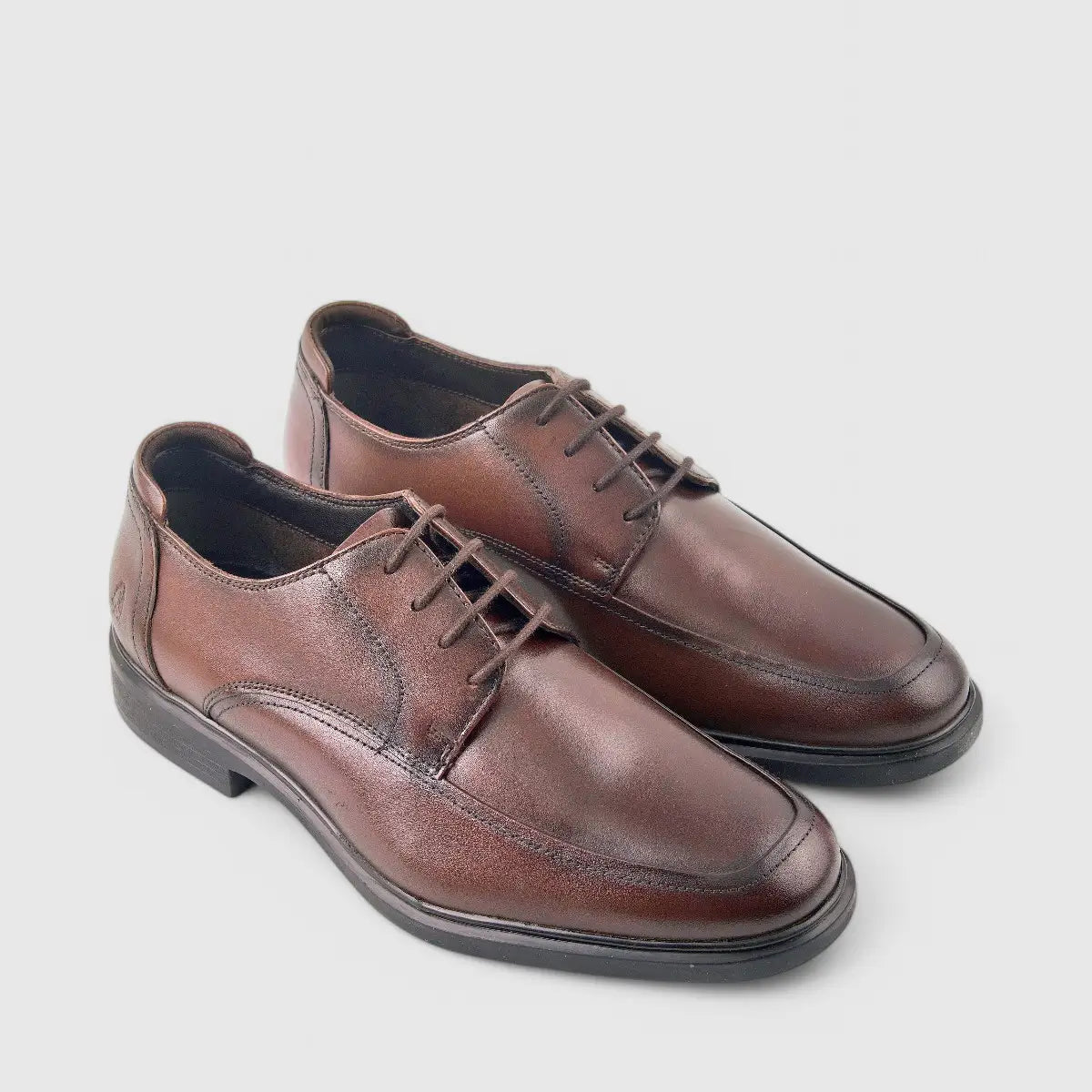 Hush Puppies Thorpe Lace Up Brown 00921 HP255 Oxfords | familyshoecentre