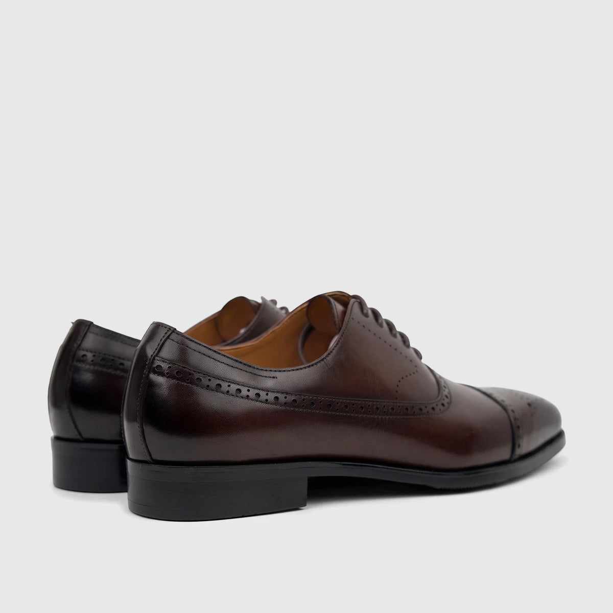 Fabino Men's M3220206 Coffee FB32 dress shoes, made of polished leather with brogue details, seen from a rear-side view.