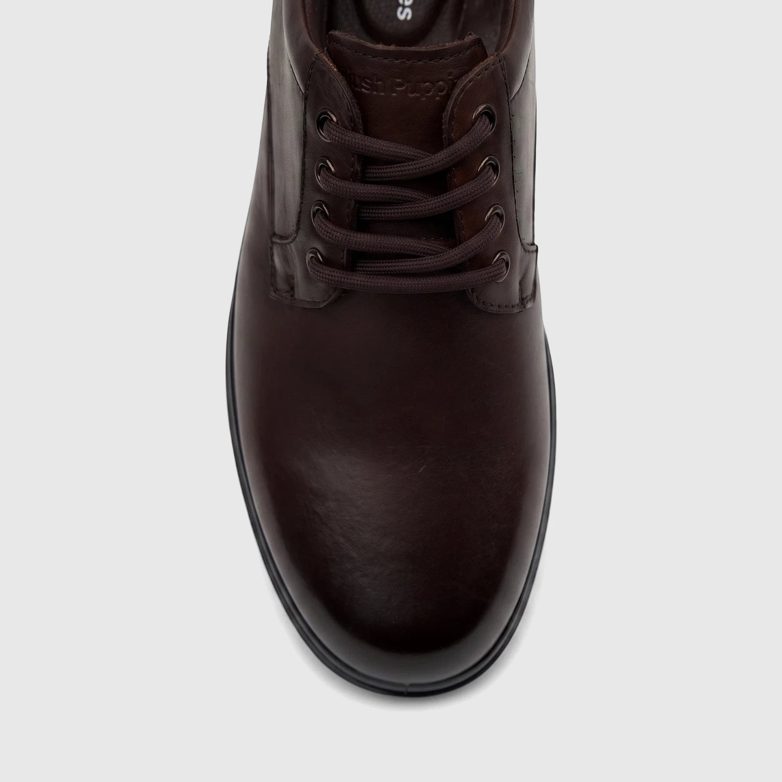 Close-up of a men's HP Comfort Stefan lace-up shoe in chocolate brown leather, featuring dark laces and a sturdy sole.