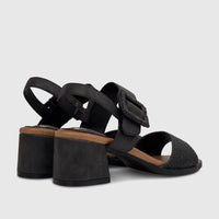 HP Soft Style Ladies Comfort Block Heel Sandals in black, featuring a textured buckle and a brown insole, viewed from the