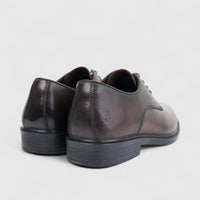 Hush Puppies Men's Lace Up HPM01005 Harrington Brown HP303