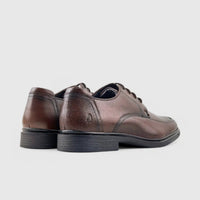 Hush Puppies Thorpe Lace Up Brown 00921 HP255 Oxfords | familyshoecentre