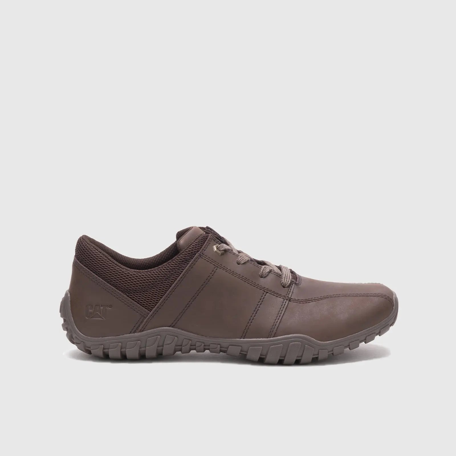 CAT GUS CHOCOLATE Sneakers | familyshoecentre
