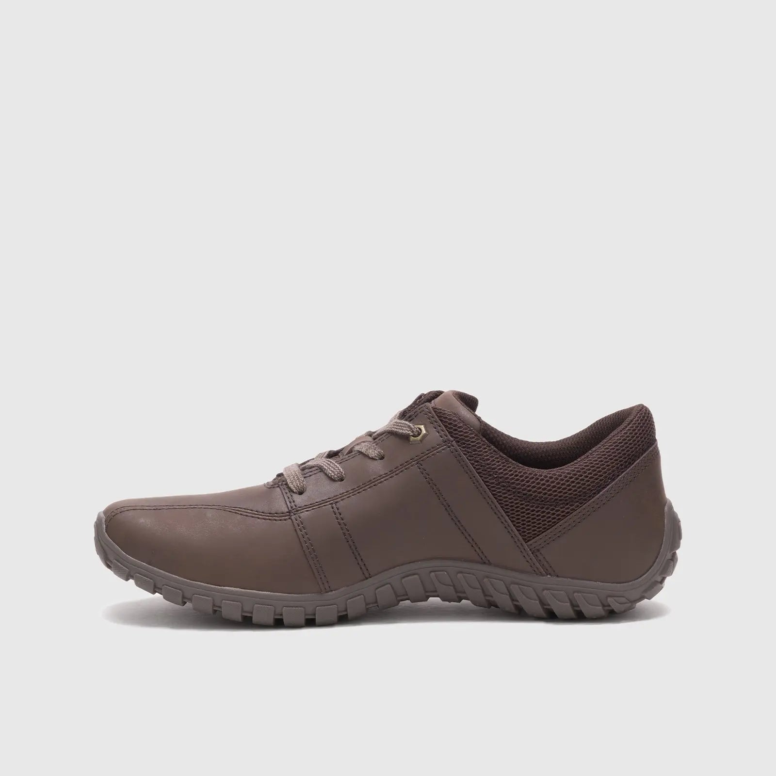 CAT GUS CHOCOLATE Sneakers | familyshoecentre