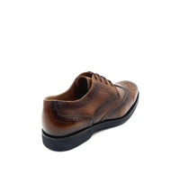 ANATOMIC 505050 BROWN Oxfords | familyshoecentre