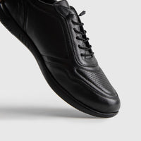 Tardelli 4378 Sneakers | familyshoecentre